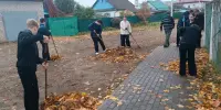 Трудовое воспитание