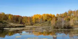 Купальный сезон закрыт: ОСВОД напомнил о правилах безопасности на воде осенью