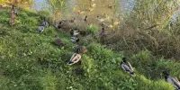 Добрые дела не ждут каникул!